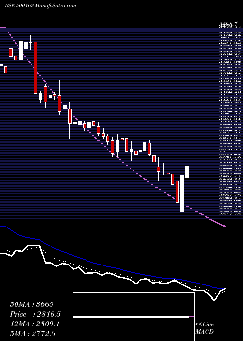  Daily chart GodfreyPh