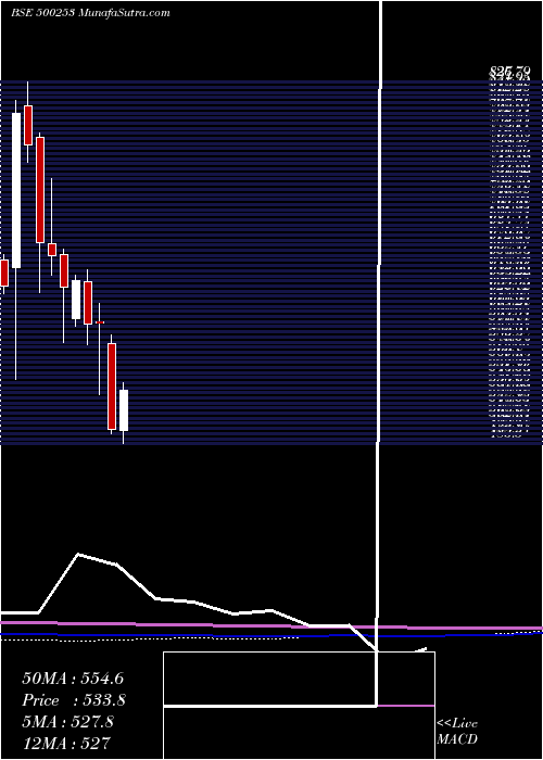  monthly chart LicHous