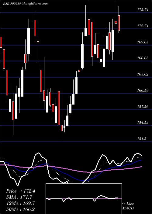  Daily chart RAIN