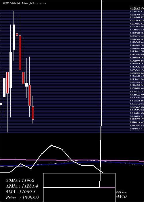  monthly chart BajHold