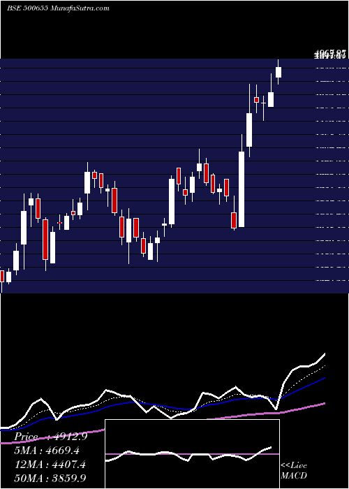  Daily chart GARWARE POLY