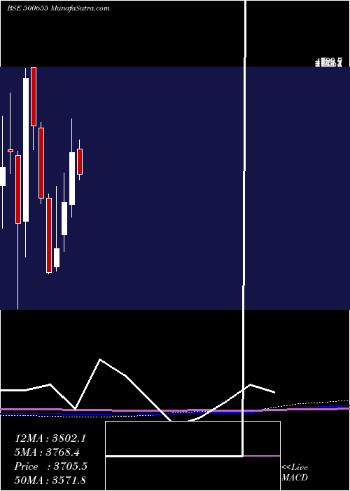  monthly chart GarwarePoly