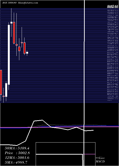  monthly chart Pfizer