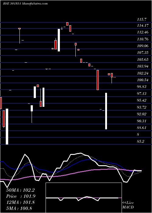  Daily chart RapidInves