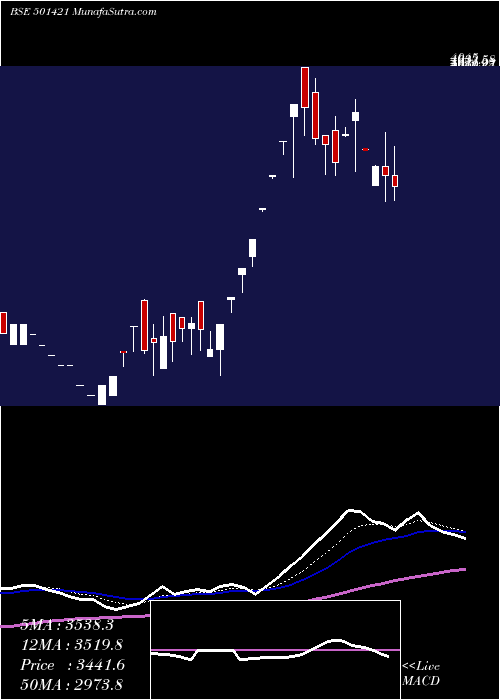  Daily chart TECHNVISN