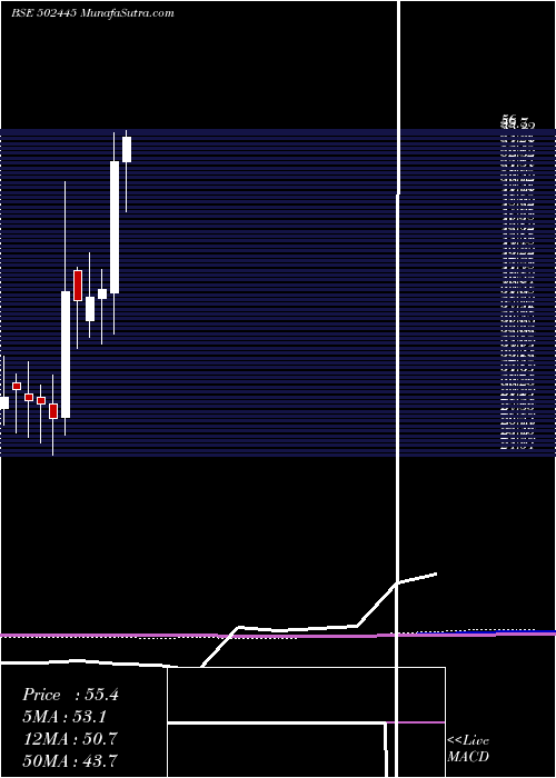  monthly chart Citadel