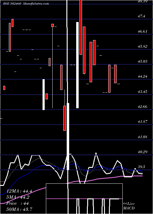  Daily chart SolidCont