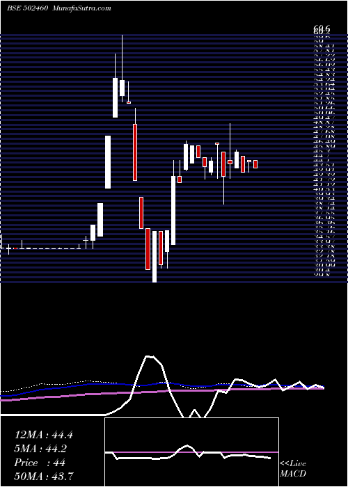  weekly chart SolidCont