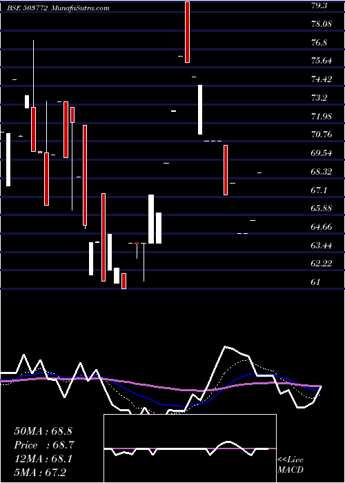  Daily chart ModellaWool