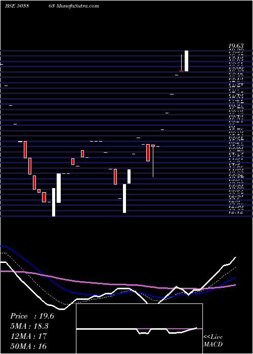  Daily chart ShreeMfg