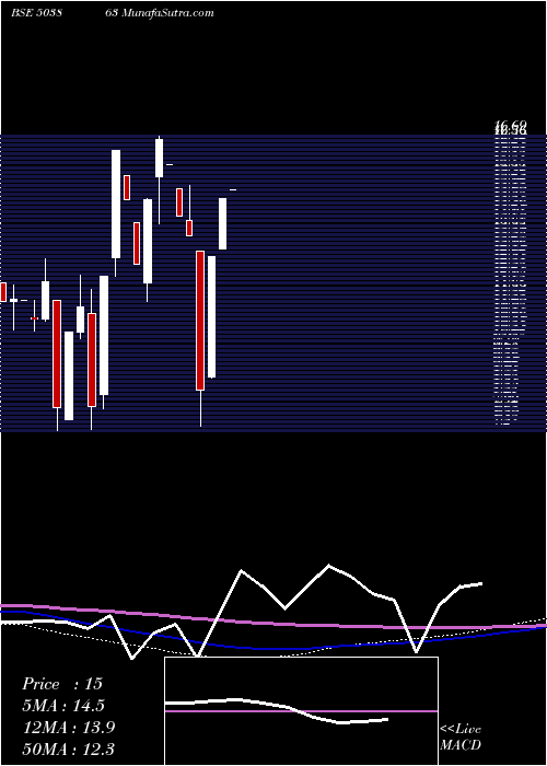  monthly chart ShreeMfg