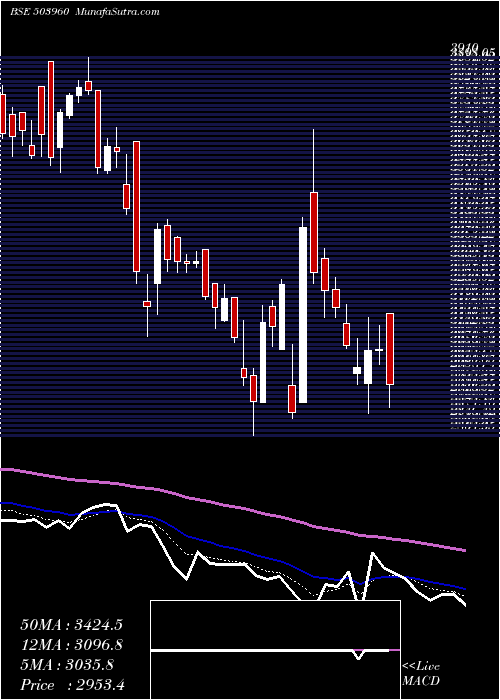  Daily chart BHARAT BIJLE