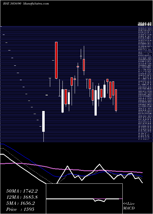  Daily chart BRADY MORRIS