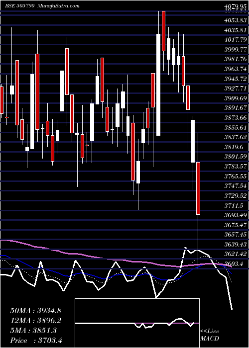  Daily chart Schaeffler