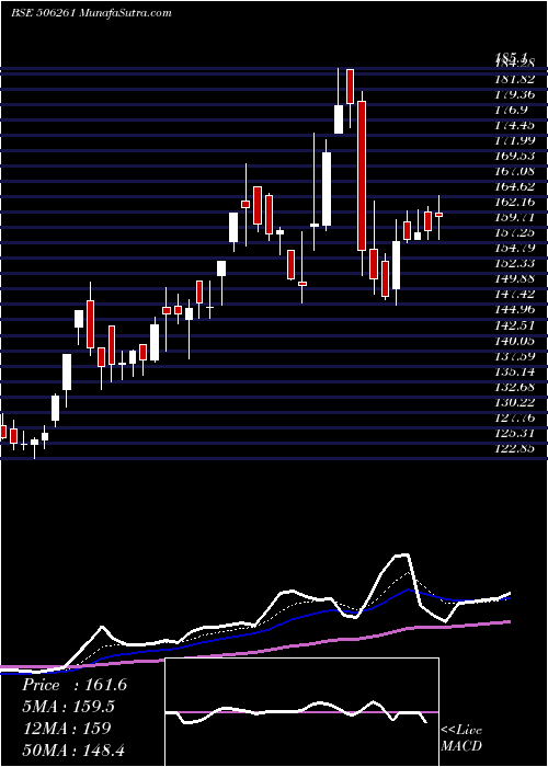  Daily chart MODISON MET.