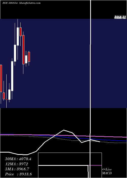 monthly chart TanfacInd