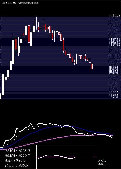  Daily chart G.M.BREWERI