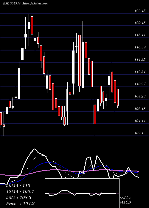  Daily chart SOM DISTILL.