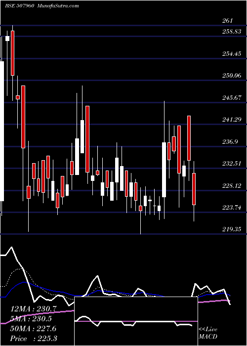  Daily chart GujHotels