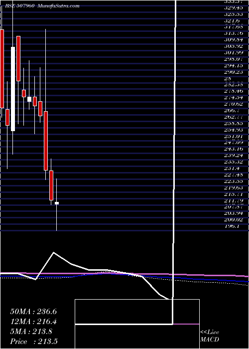  monthly chart GujHotels
