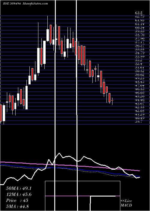  weekly chart WarrenTea