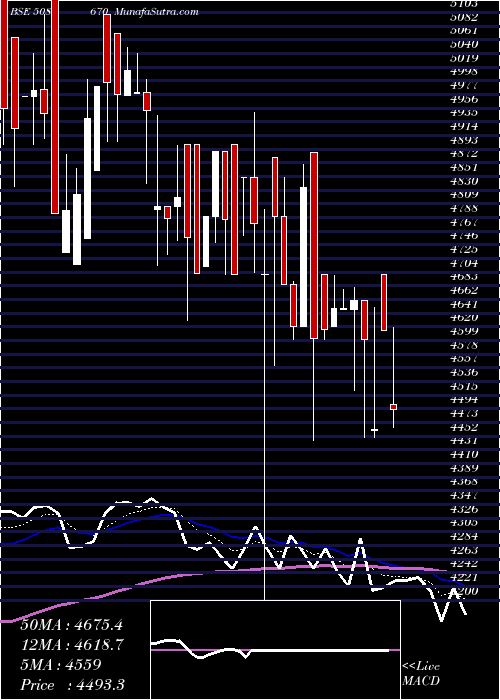  Daily chart NEELAMALAI