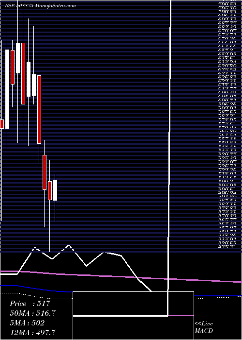  monthly chart Nitincast