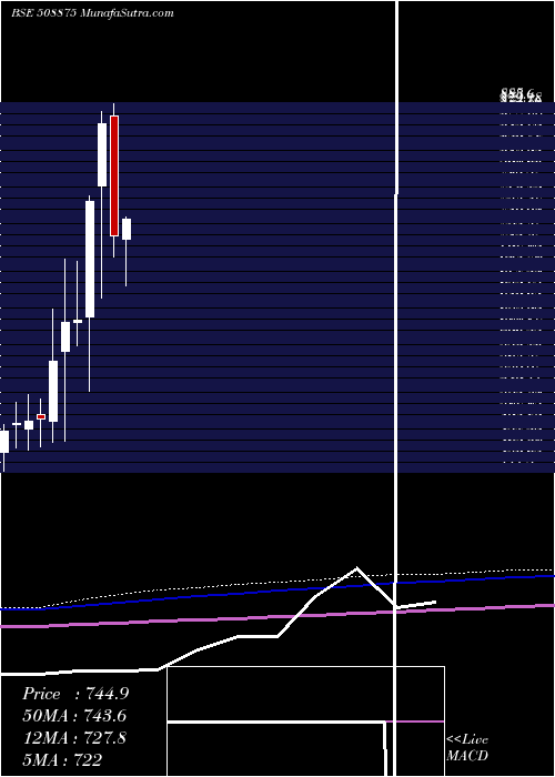  monthly chart Nitincast