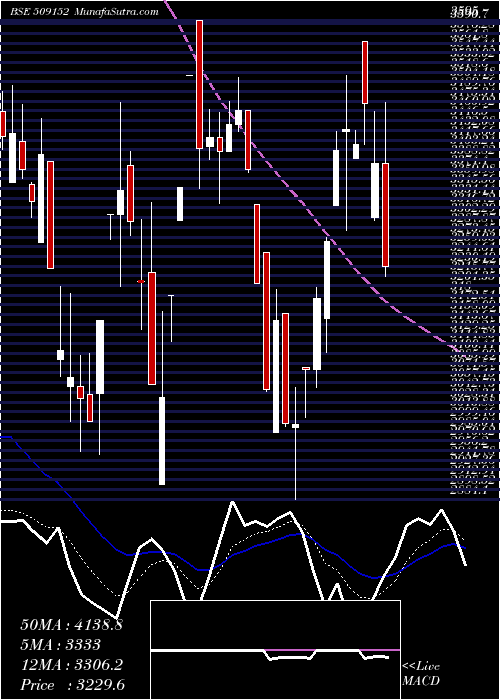  Daily chart GRPLTD