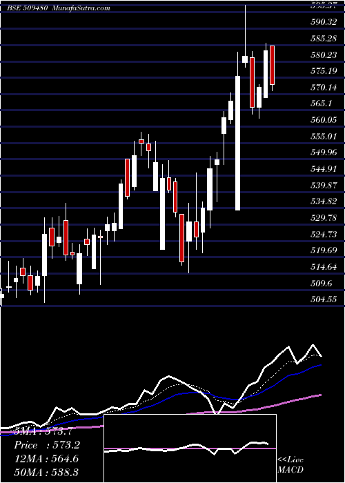  Daily chart BergePaint