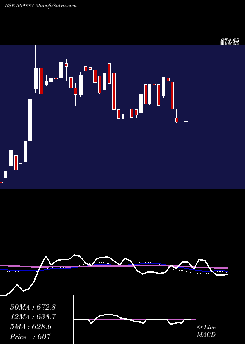  weekly chart SinnarBidi