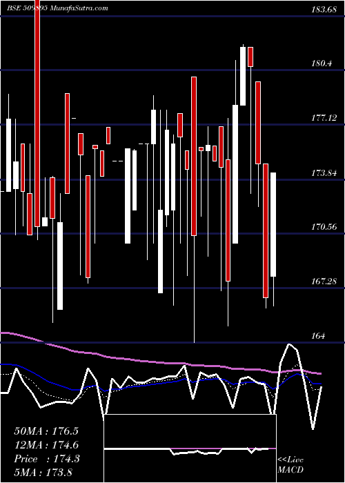  Daily chart HindMills