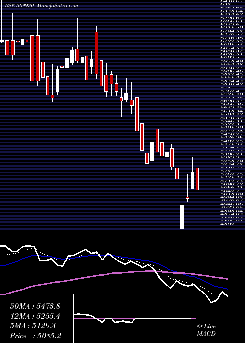  Daily chart SupremInd