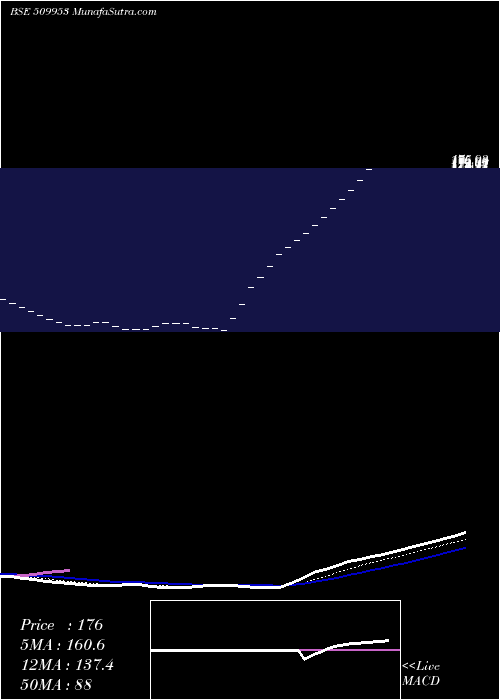  Daily chart TradeWings