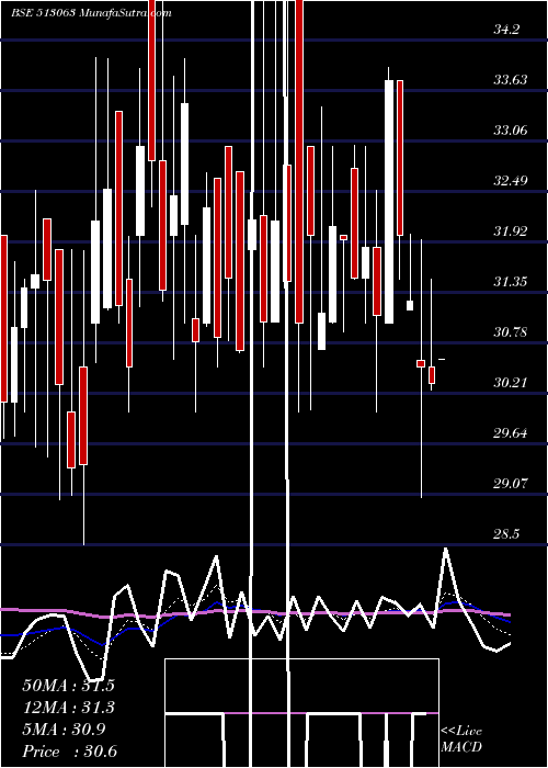  Daily chart TRANSFREIGHT