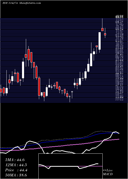  weekly chart AarveeDenim