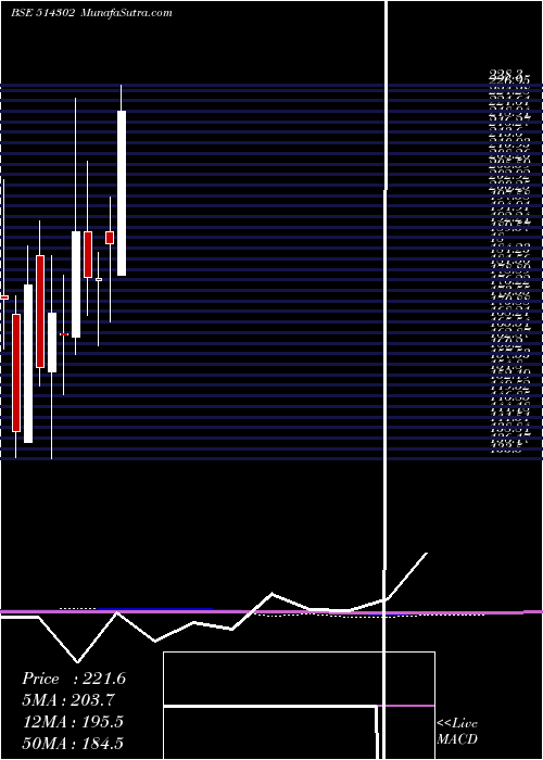  monthly chart VippySpin