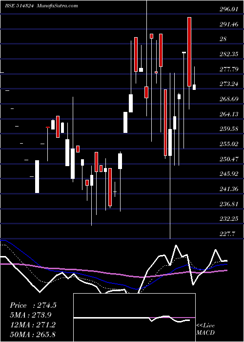  Daily chart OMNITEX IND.