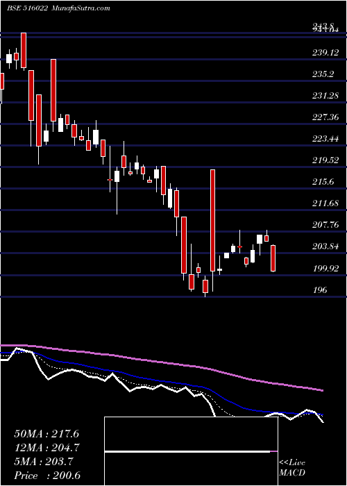  Daily chart STAR PAPER