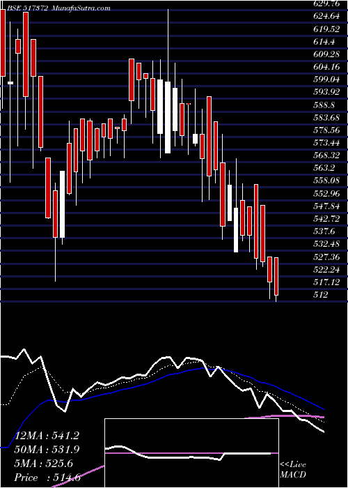  Daily chart GujIntrux