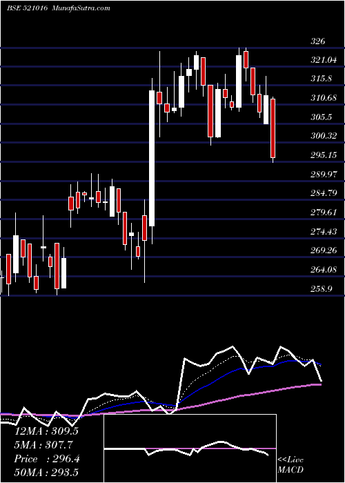  Daily chart INDO COUNT