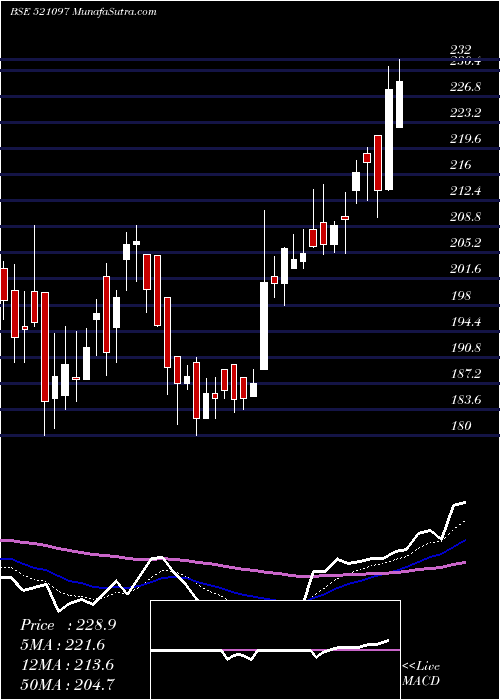  Daily chart AMARJOTHI SP