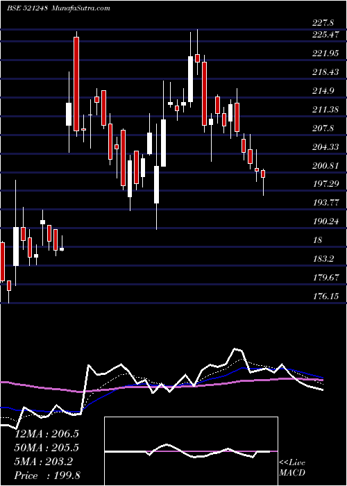  Daily chart KitexGarmen