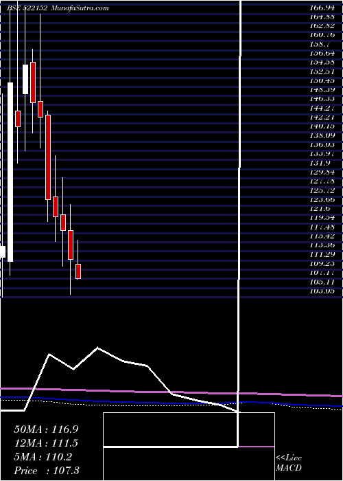  monthly chart SolitairMc