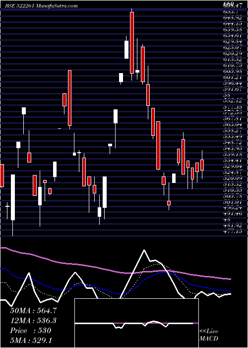  Daily chart Dolphinf