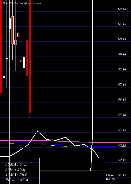  monthly chart AdvaniHotel