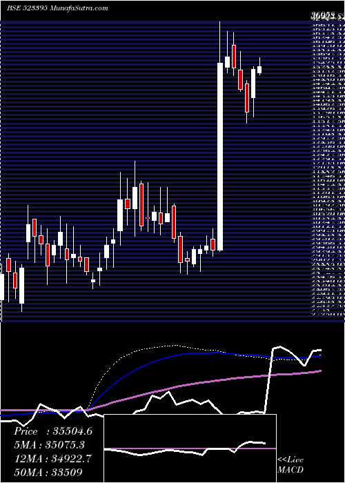  weekly chart 3mIndia