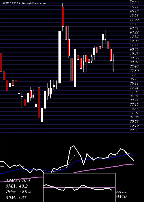  Daily chart NETWORK LTD.