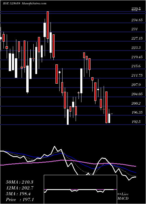  Daily chart IP RINGS LTD