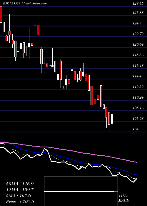  Daily chart MenonBear